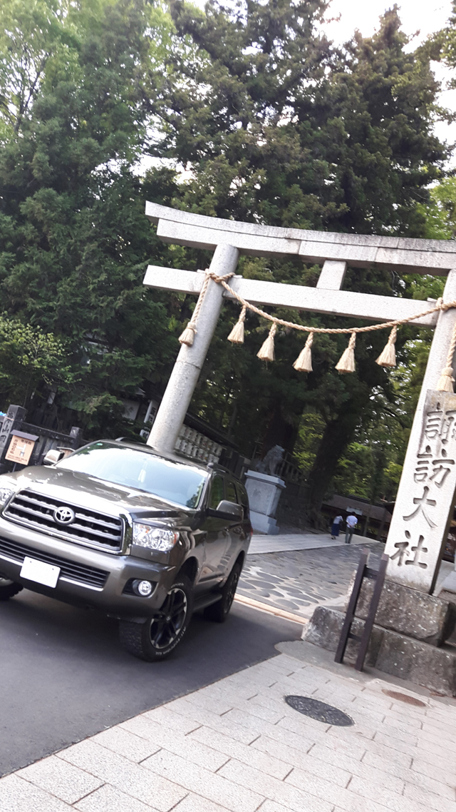 神奈川県　ポンタ さん　セコイア