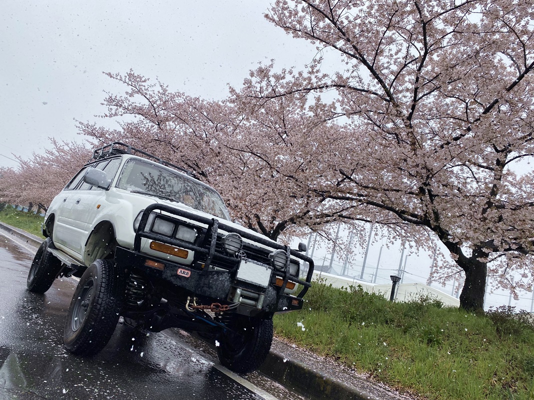 埼玉県　ちょべJr さん　ランドクルーザー80