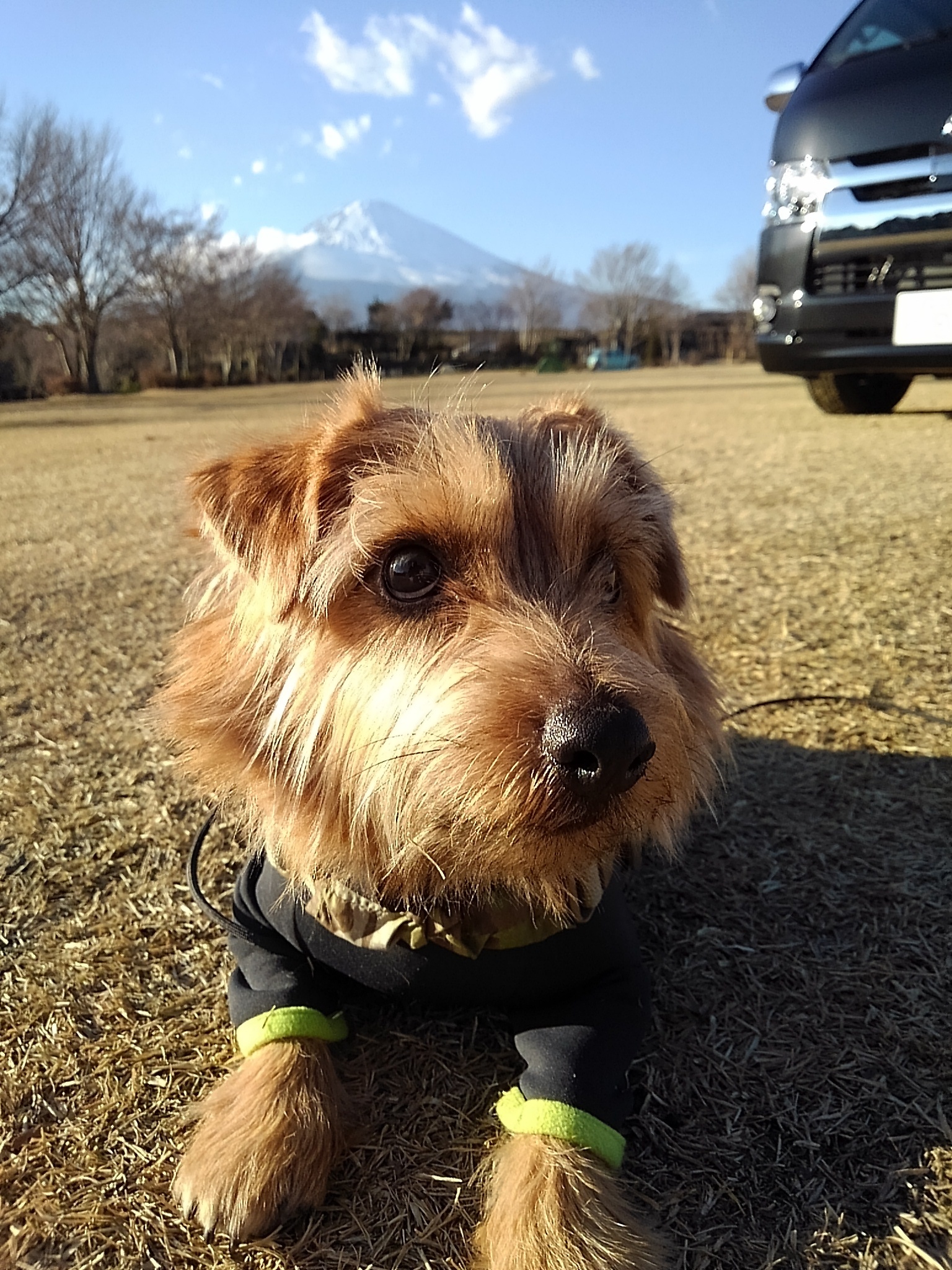 神奈川県　きなこ さん　ハイエースSuperGL