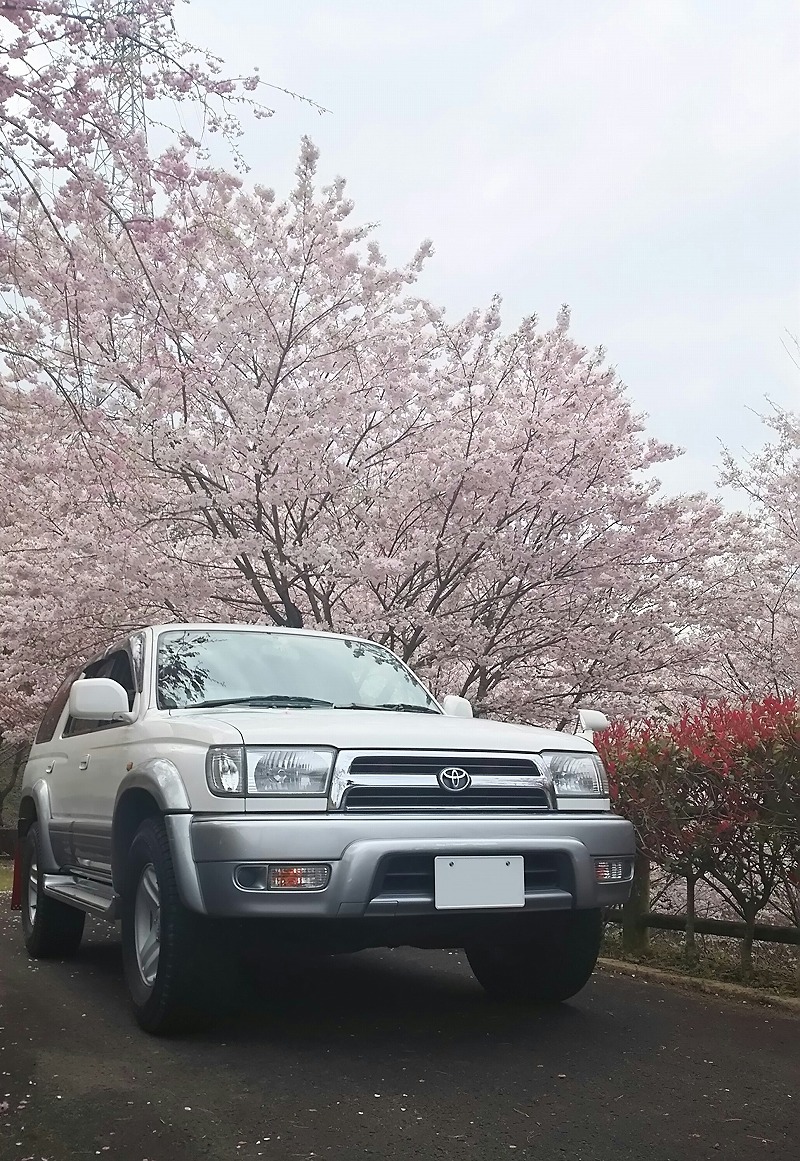 徳島県　クリル さん　ハイラックスサーフ