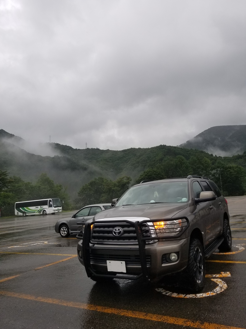 神奈川県　ポンタ さん　セコイア