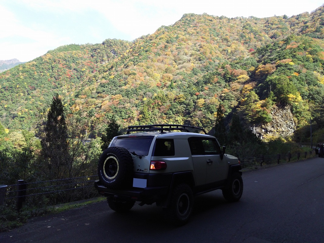 長崎県　おっとこどっこい さん　FJC