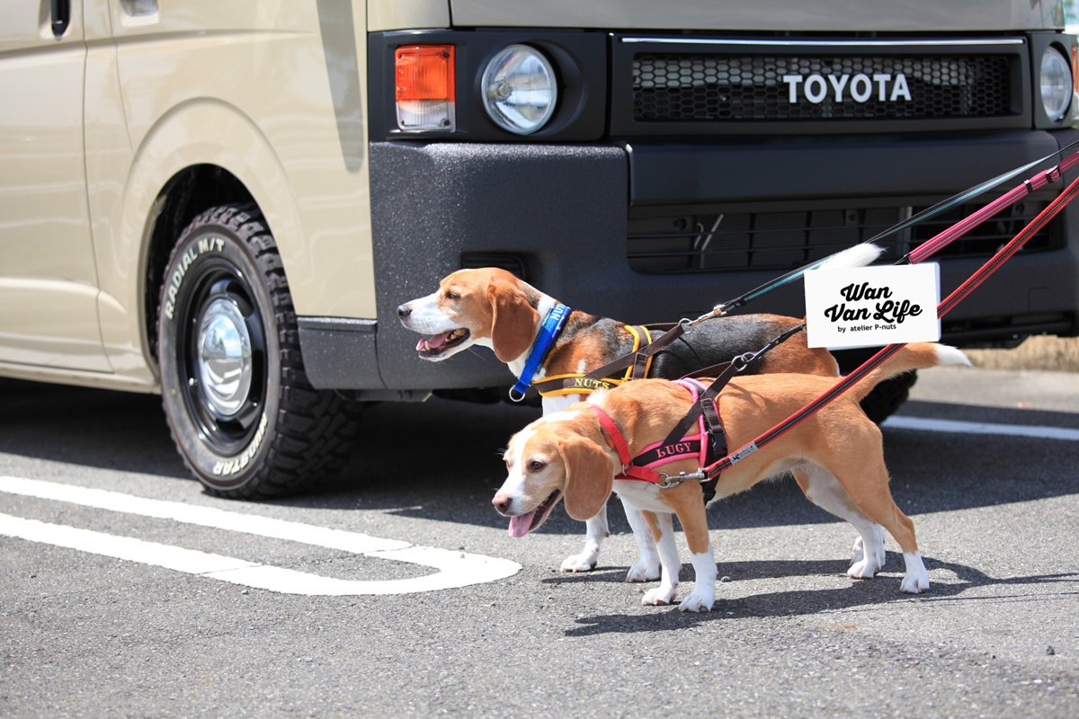 福岡県　Wan Van  Life さん　ハイエース