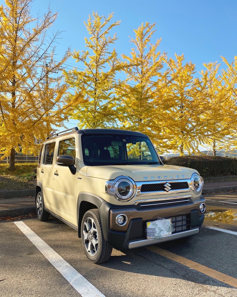 栃木県　さかなぱくぱく さん　ハスラーjスタイル2