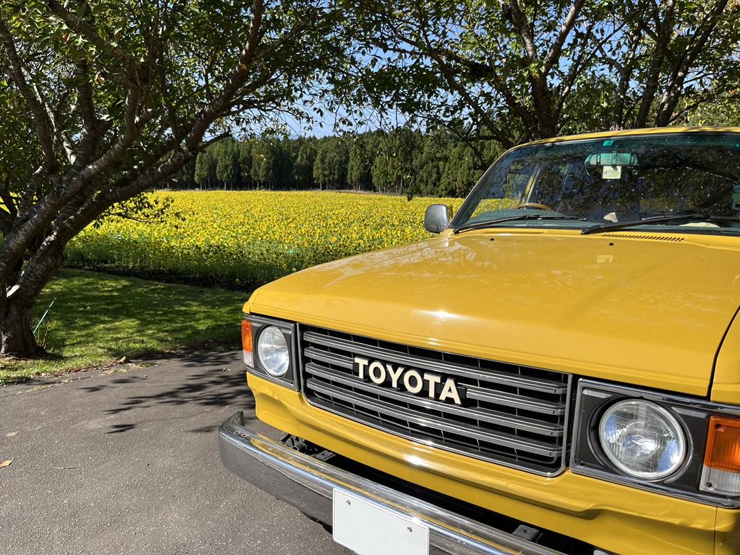 北海道　910 さん　ランドクルーザー80