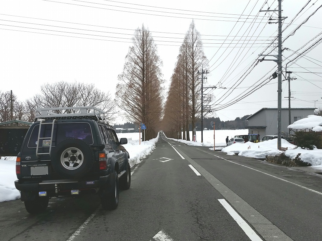 滋賀県　きんちゃん さん　ランクル80