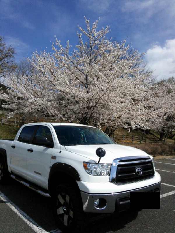 群馬県　A さん　タンドラ