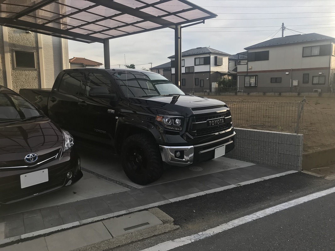 埼玉県　しろ さん　タンドラ