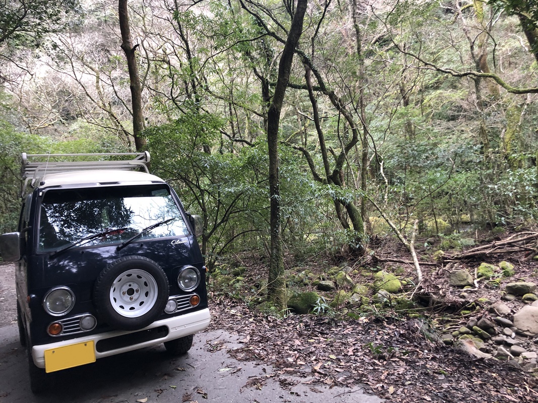 宮崎県　みっちぃ さん　サンバ〜クラシック