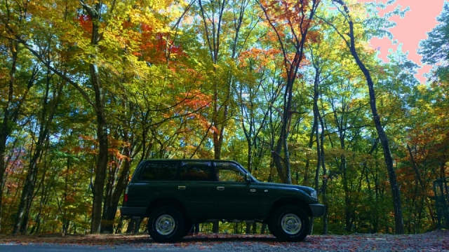 長野県　TFH さん　ランドクルーザー80