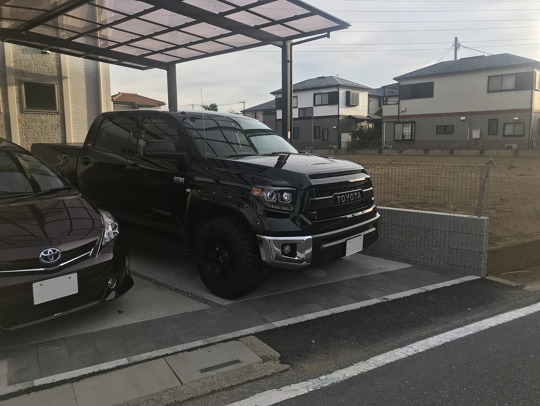 埼玉県　しろ さん　タンドラ