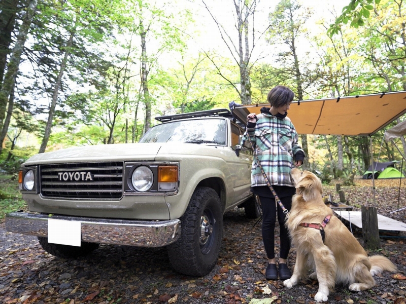 ランクル60とゴールデンレトリバーJOY家 ジョイ君