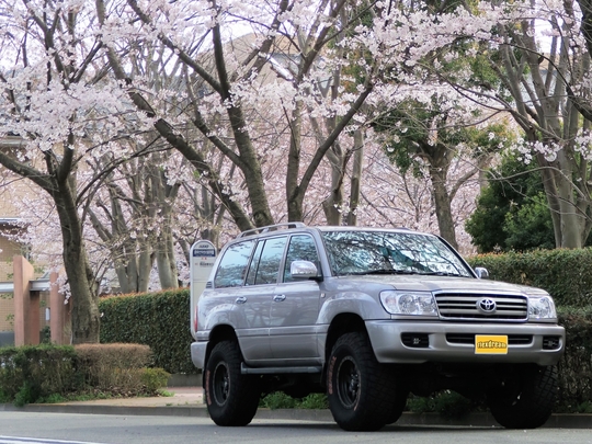 ランクル１００ FZJ105 カスタムデモカー オーストラリア逆輸入車