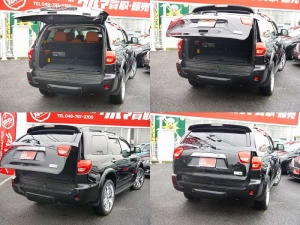 セコイアセコイア　新並　レッドレックレザー　