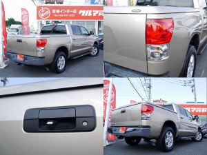タンドラゴールド　ＣＡＲＦＡＸ　