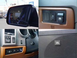タンドラ希少プラチナム　新並　ＪＢＬ　レッドロック
