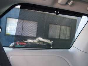 シエナ新並！　低走行車！