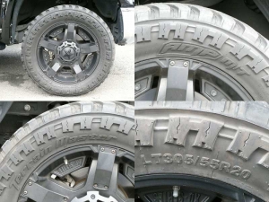 タンドラ新並　ＴＲＤプログリル