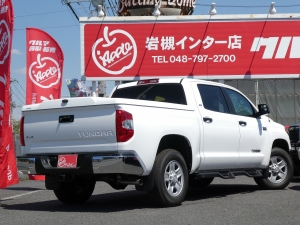タンドラＳＲ5　ＴＳＳ-Ｐ　ＬＥＥＲ７００トノカバー