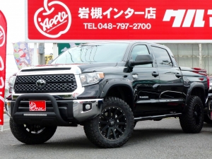 タンドラＳＲ5　ＴＳＳ-Ｐ　ＬＥＥＲ７００トノカバー