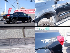 タンドラタンドラ　クルーマックス　Ｖ８