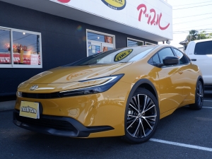 その他新型　ハイブリッド