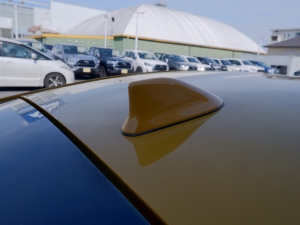 その他新型　ハイブリッド