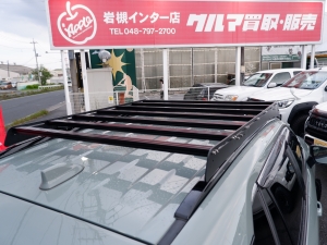ハイブリッド　アドベンチャー