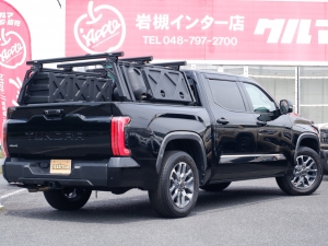 タンドラ新型タンドラ　1794ED　レイトナーデザイン