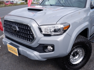 タコマTRDスポーツ　セメント　ロングベッド