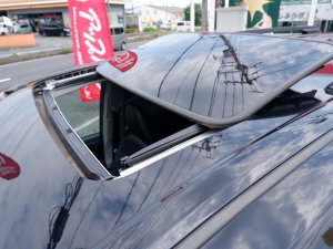 シエナシエナ　新車並行　アメリカモデル