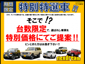 ランクル８０ランクル８０　ブロンズ　ビースト　リフトアップ