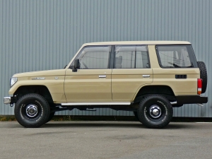 ランクルプラドキャンプ　アウトドア　レジャー　４ＷＤ　ＳＵＶ