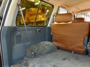 ランクル８０キャンプ　アウトドア　レジャー　４ＷＤ　ＳＵＶ