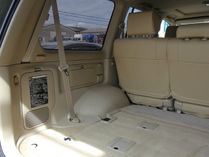 ランクル１００キャンプ　アウトドア　レジャー　４ＷＤ　ＳＵＶ