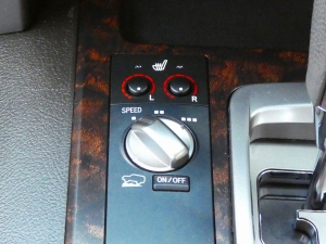 ランクル２００キャンプ　アウトドア　レジャー　４ＷＤ　ＳＵＶ