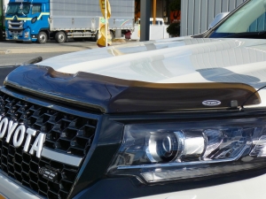ランクルプラドキャンプ　アウトドア　レジャー　４ＷＤ　ＳＵＶ