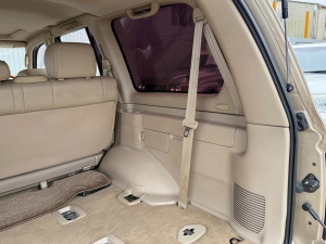 ランクル１００キャンプ　アウトドア　レジャー　４ＷＤ　ＳＵＶ