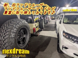 ランクルプラド150系キャンプ　アウトドア　レジャー　４ＷＤ　ＳＵＶ