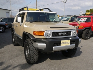 ＦＪクルーザーベージュ　カラーパッケージ
