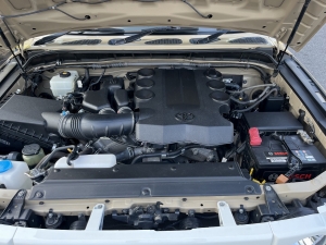 ＦＪクルーザーキングショック