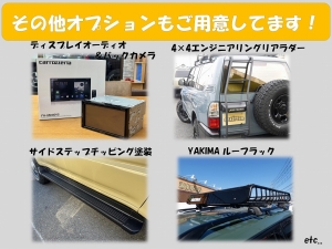ランクルプラド95プラドカスタムコンプリートカー