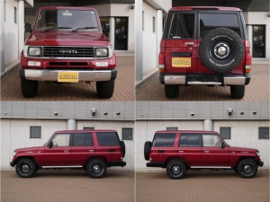 ランクルプラドリアデフロック