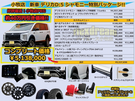 デリカＤ５三菱デリカD5　シャモニー　カスタムコンプリート販売
