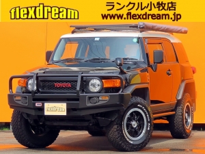 ＦＪクルーザーブラックカラーＰＫＧ　ＦＪクルーザー　オリジナル車両