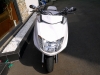 バイクビックスクーター 人気カラー：シロ