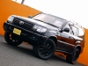 ランクル１００背面レス　マルチレス