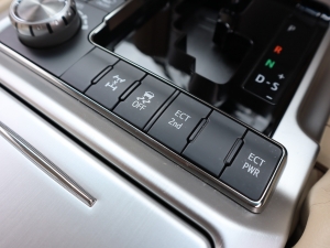 ランクル２００キャンプ　アウトドア　レジャー　４ＷＤ　ＳＵＶ