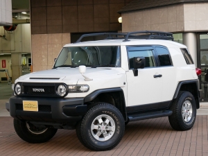 ＦＪクルーザートレイルカスタム　ＭＧデーモン　ＦＬＥＸ