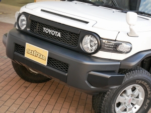 ＦＪクルーザートレイルカスタム　ＭＧデーモン　ＦＬＥＸ